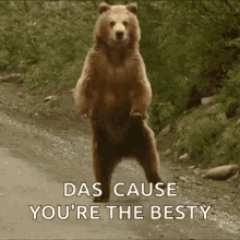 Funny Bear Dancing - 'Das Cause You're The Besty'