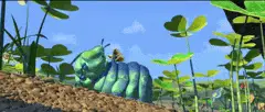 catapillar