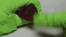 Gummy Rat