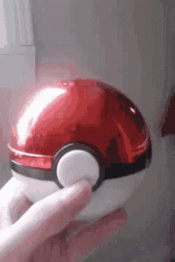 Funny Sugar Glider Appears from Pokeball