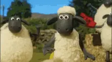 Shaun The Sheep Sweat