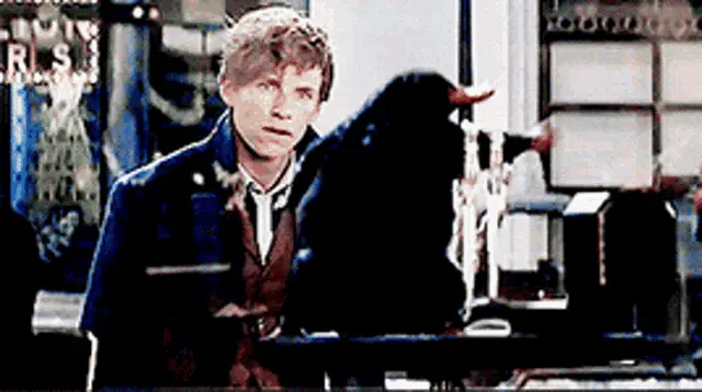 Newt Scamander Catches Niffler Stealing