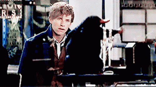 Newt Scamander Catches Niffler Stealing