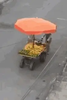 Ambulante Aguacate