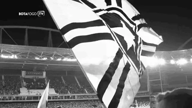 Botafogo: Bandeira e Torcida no Estádio