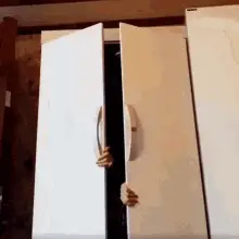 Jiu Closet