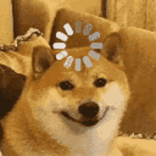 GIF