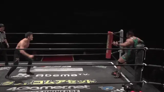 ガンプロ流！入江茂弘壮行試合！入江茂弘 vs 力 Shigehiro Irie vs Chikara 2018.10.11 新木場大会