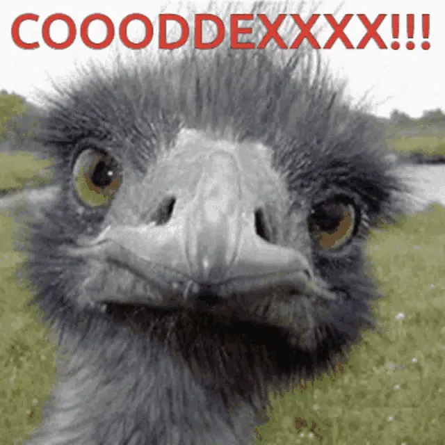 Machtw0 Codex Emu Close-Up Meme