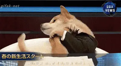 Inuyama Shibao: News Dog Means Business