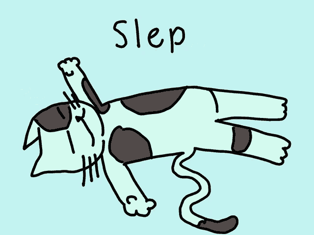 Cute Sleeping Cat Animation