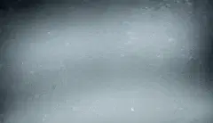 The North Face:  The Denali Experiment