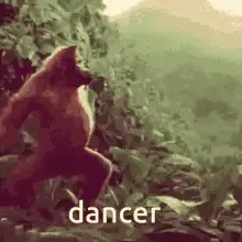 Monker Poggers