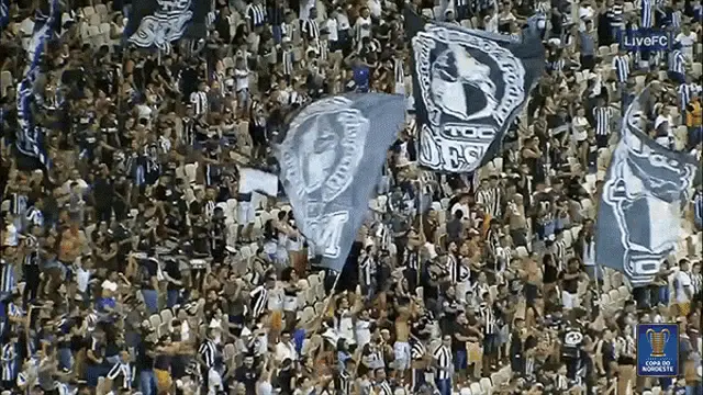 Ceará vs Botafogo Fans Cheer at Copa do Nordeste