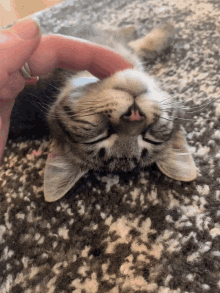 GIF uploaded by NotAnNPC
