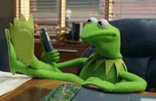 Kermit the Frog: Smh Reaction