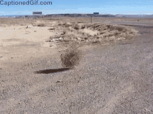 Klipy GIF