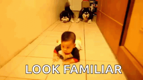 Baby Crawls with Dogs