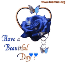 GIF uploaded by Heidi