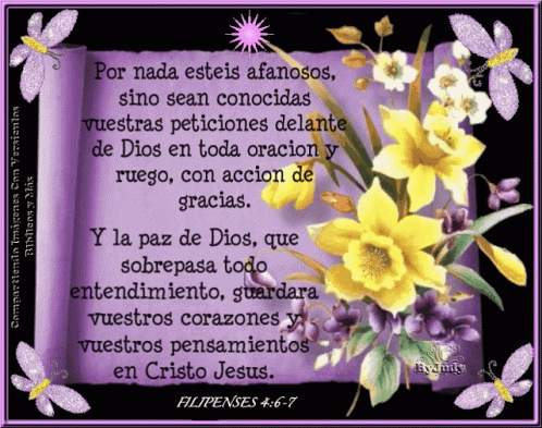 Textos Bíblicos: Filipenses 4:6-7