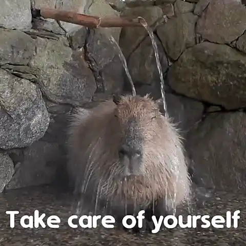 Cute Capybara Showering: Take Care of Yourself