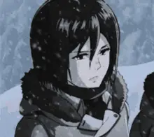 Mikasa
