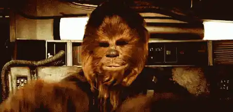 Star Wars: Chewbacca Close-Up