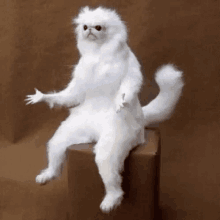 GIF tso los ntawm Sirius