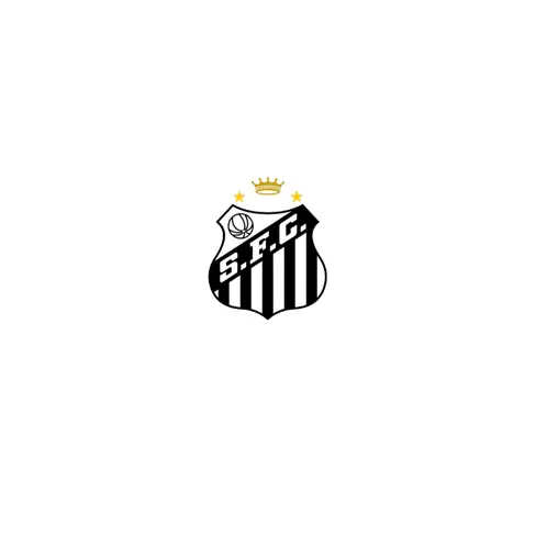 Santos FC Logo Animation