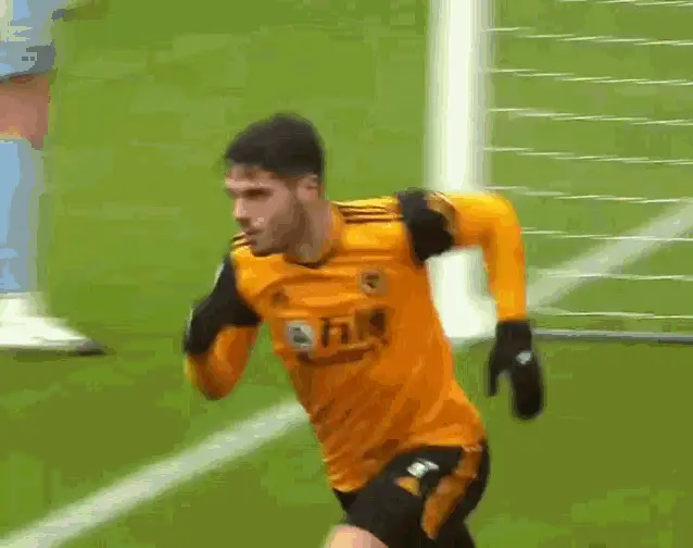 Wolves' Pedro Neto on the Field