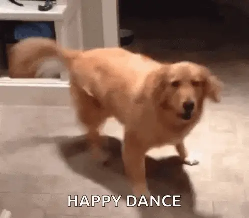 Happy