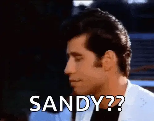 John Travolta as Danny Zuko: Sandy??