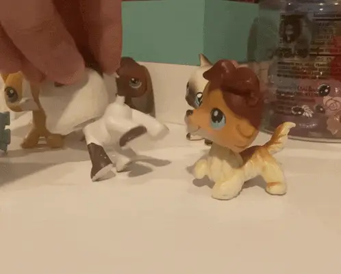 LPS Popular: Dog Toy Play | Popular Memes Memes | CheckMeme LPS Popular: Dog Toy Play – popular memes meme GIF free download no watermark 2026