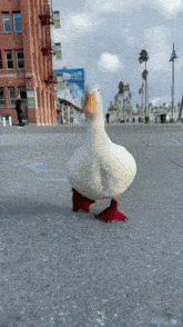 GIF uploaded by LilMexxiii
