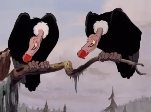 Two Vultures Eyeing Leftovers
