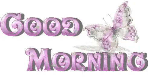 Beautiful Butterfly on 'Good Morning' Text