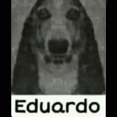 Eduardo the Dog