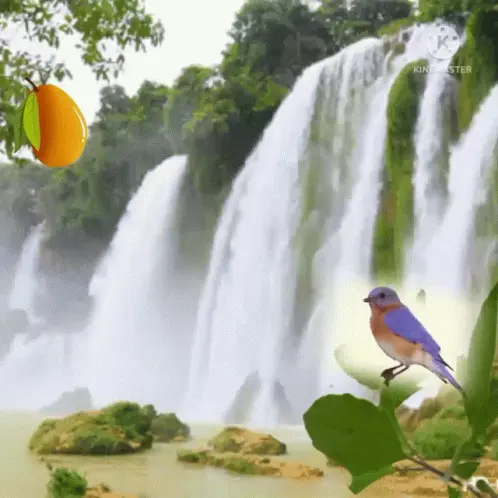Bird, Mango, and Waterfall Nature Scene