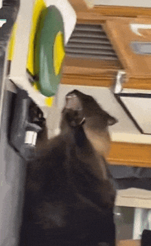 GIF uploaded by Alfredo