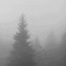 GIF enviado por Bella