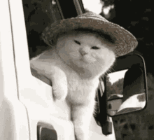 NotAnNPC님이 올린 GIF