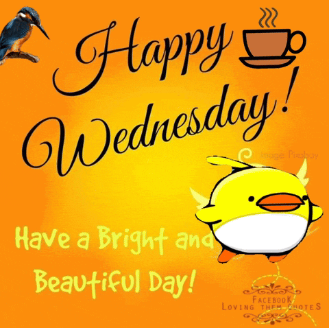Happy Wednesday! Bright & Beautiful Day Greeting