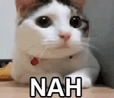 Nah Extasyxx Cat