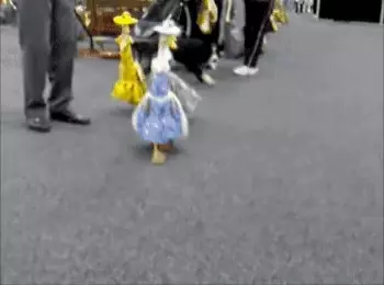 Funny Geese in Dresses March Forth