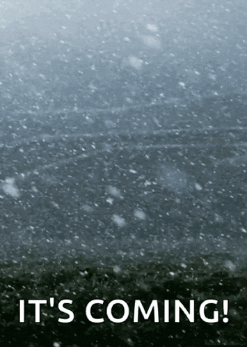 User Comment Image