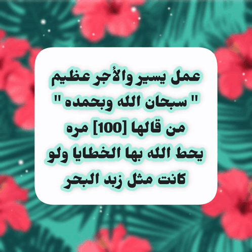 فضل سبحان الله وبحمده 100 مرة: مغفرة الذنوب