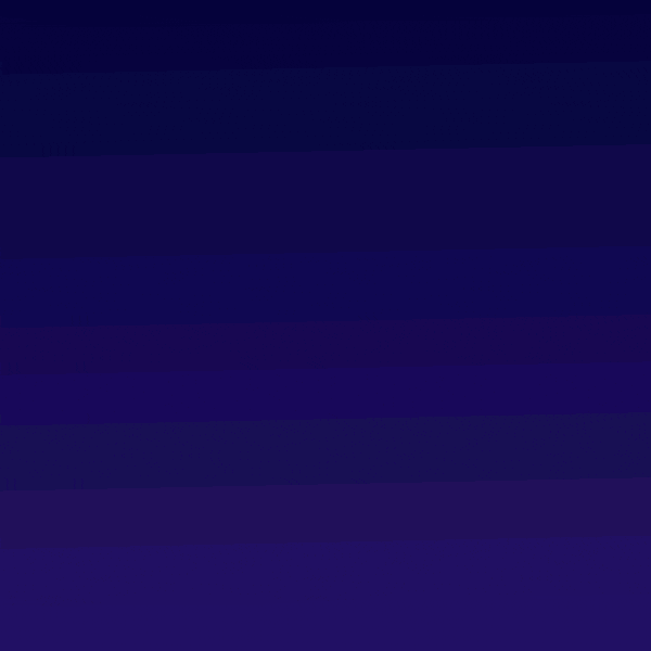 Celebrate New Year GIF by Pudgy Penguins.gif