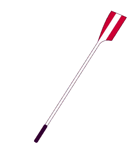 Rowing Oar with Austrian Flag Design