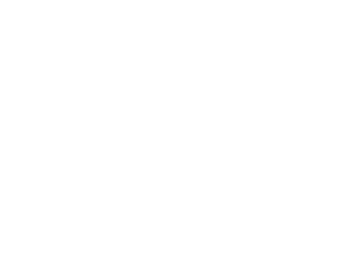 Palomax Max Client Logo Sticker