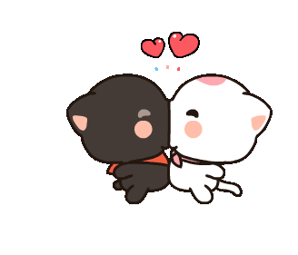Cute Cat Couple Head Bump Animated Sticker